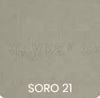 Soro21