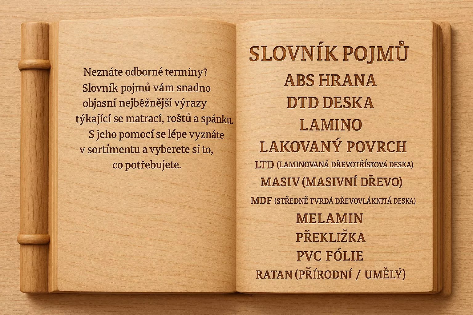 Sloník pojmů